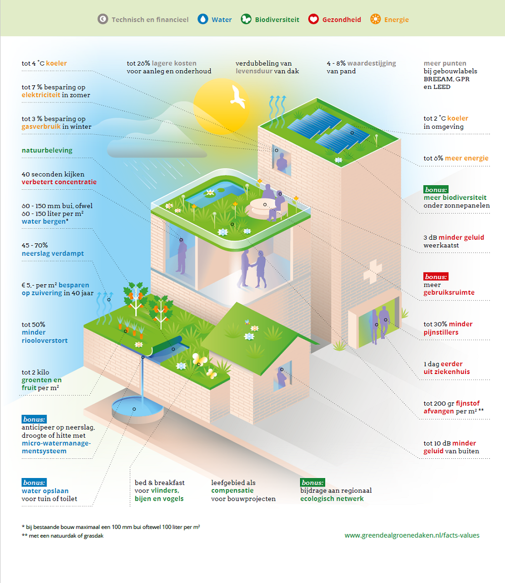 Multifunctionele daken &ndash; flexibele oplossing voor klimaatadaptieve dakconstructies