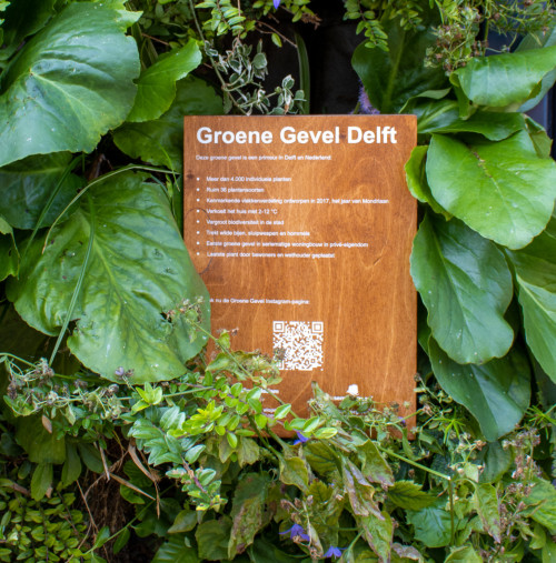 Duurzame groene gevel in Delft weet alle ogen op zich gericht